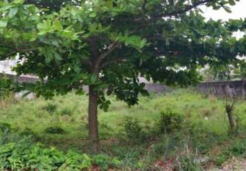 Terreno residencial à venda na enseada guarujá