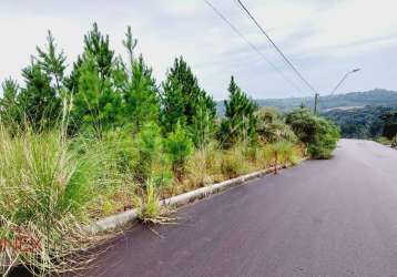 Terreno à venda na rua irma pienegonda bettega, 13, são giácomo, caxias do sul por r$ 140.000