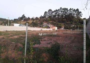 Terreno à venda, 4440 m² por r$ 3.000.000,00 - são pedro - juiz de fora/mg