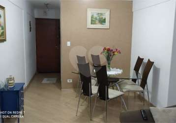 Apartamento 76 metros - jaçana - , 3 dormitórios, sala dois ambientes 1 banheiro, 1 vaga