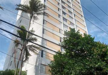 Apartamento parque novo mundo 3 dormitórios