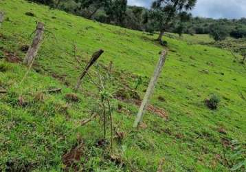 Ferreira negócios imobiliários vende	chácara em caxias do sul bairro santa lúcia do piaí chácara