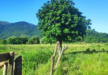 Sítio para venda em cachoeiras de macacu, agro brasil