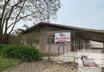 Alugue casa em araucária