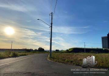 Terreno lançamento  - terra nova