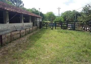 Fazenda em taubaté