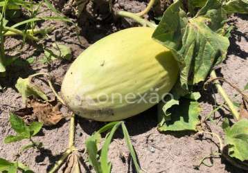 Fazenda à venda na estrada terra seca, itapeva, paraibuna, 400 m2 por r$ 30.000.000