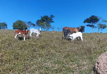 Terreno à venda na alameda dos paturis, canaã, jambeiro, 200 m2 por r$ 350.000