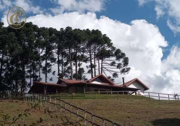 Fazenda à venda na rua jaguaribe, centro, sapucaí-mirim, 220 m2 por r$ 1.900.000