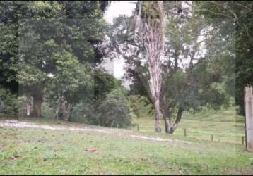 Fazenda à venda na rua um, centro, registro, 100 m2 por r$ 3.800.000