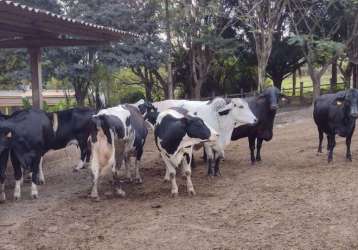 Fazenda à venda na rua américa central, são francisco, passos, 100 m2 por r$ 11.500.000