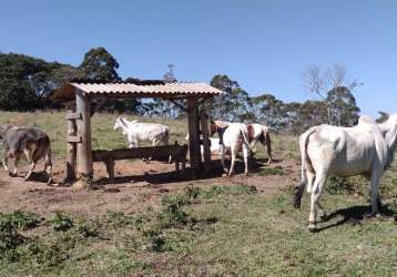 Fazenda à venda na praça conselheiro rodrigues alves, centro, guaratinguetá, 100 m2 por r$ 6.300.000