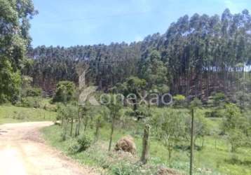 Fazenda à venda na rua coronel camargo, centro, paraibuna, 200 m2 por r$ 4.000.000