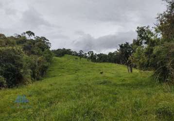 Terreno à venda, 180000 m² por r$ 1.790.000,00 - rio bonito - rancho queimado/sc