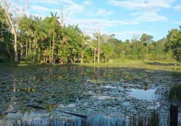 Fazenda à venda, 2190000 m² por r$ 3.500.000,00 - alça viaria - acará/pa