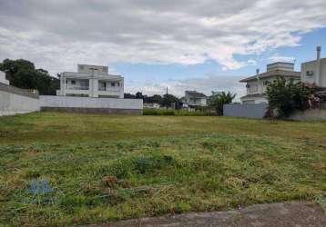 Terreno à venda, 525 m² por r$ 4.000.000,00 - cachoeira do bom jesus - florianópolis/sc