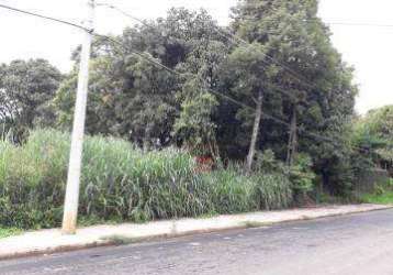 Terreno, 1000 m² - venda por r$ 550.000,00 ou aluguel por r$ 2.500,00/mês - colinas de indaiatuba ii - indaiatuba/sp