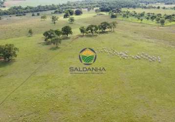 Fazenda para venda em terenos, rural