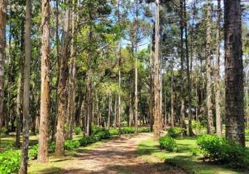 Chácara / sítio com 3 quartos à venda na estrada geral do salto, 57, lageado, campo alegre por r$ 2.750.000