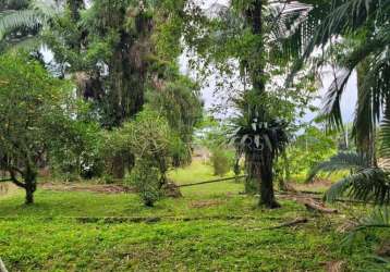 Terreno à venda na rua dona francisca, 15777, centro, joinville por r$ 2.800.000