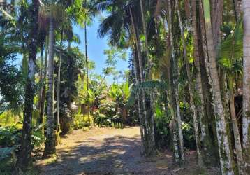 Chácara / sítio com 3 quartos à venda na rua dálcio bortoluzzi, 777, vila nova, joinville por r$ 2.000.000