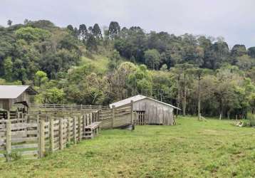 Chácara / sítio com 1 quarto à venda na avenquinha, 1, zona rural, campo alegre por r$ 11.666.000