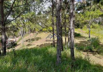 Terreno à venda, 3200 m² por r$ 660.000,00 - parque espelho  d água - jundiaí/sp