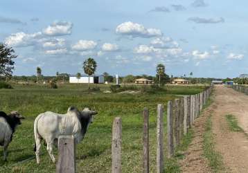 Fazenda de pecuária em porto murtinho