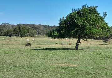 Fazenda em bonito de 83ha com 2km de rio mimoso na propriedade