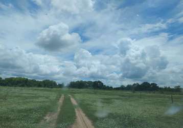 Fazenda de 2.226 hectares em aquidauana ms