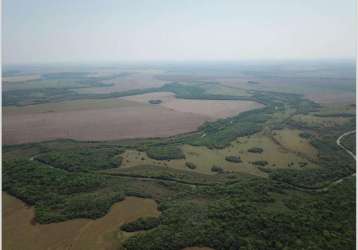 Fazenda de lavoura as margens do rio em maracaju-ms