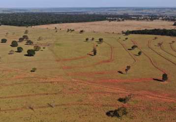 Fazenda à venda na ms-040, 200, vila moreninha ii, campo grande por r$ 29.000.000