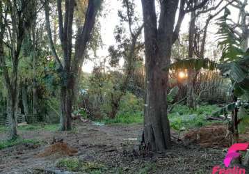 Terreno em condomínio fechado à venda na rua pau de canela, 100, rio tavares, florianópolis por r$ 3.200.000