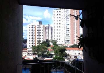 Apartamento com 3 quartos à venda em santa teresinha - sp