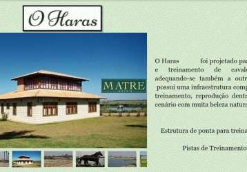 Haras com pista de treinamento e competição