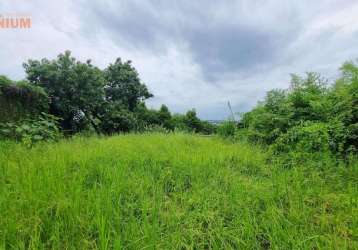 Terreno à venda - bairro rondônia - novo hamburgo