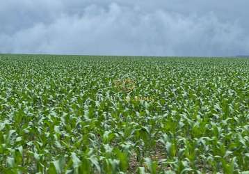 Fazenda a venda em nobres-mt