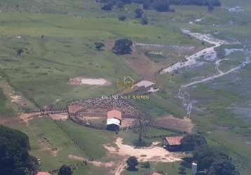 Fazenda a venda no pantanal de poconé mt