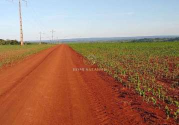 Fazenda em tangará da serra mt