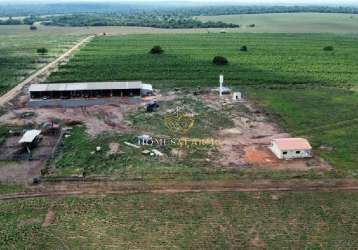 Fazenda em tangara da serra mt