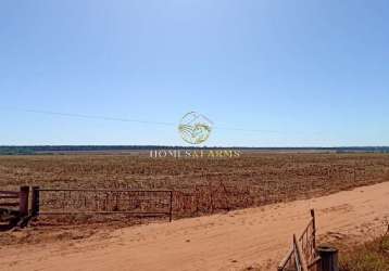 Fazenda à venda na região de itaúba mt