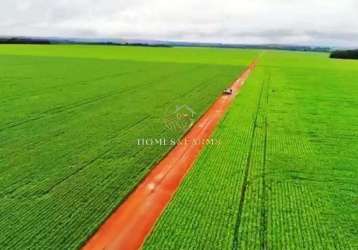 Belíssima fazenda em sinop