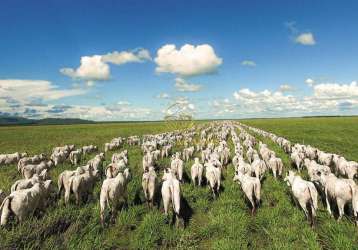 Fazenda agropecuária estado de goiás região aruanã.