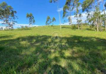 Terreno à venda, 85000 m² por r$ 5.400.000,00 - gasparinho - gaspar/sc