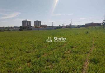 Terreno à venda, 307m² por r$ 180.000 - gsp life i (laranjeiras) - uberlândia/mg