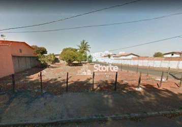 Terreno à venda, 300 m² por r$ 264.000,00 - santa mônica - uberlândia/mg