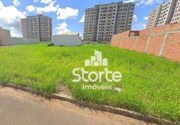 Terreno com 286m², à venda por r$ 270.000 - praça alto umuarama - uberlândia/mg