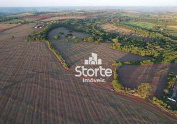 Fazenda à venda com 280 hectares (2.800.000m²) por r$ 280.000.000 - zona rural de uberlândia a 10min do parque do sabiá - mg