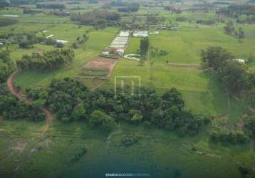 Àrea com 8,4 hectares à venda, portão