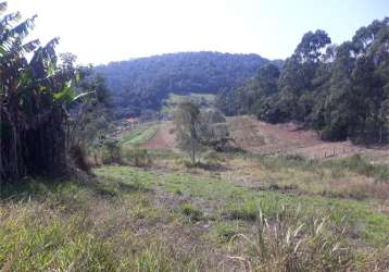 Terreno próximo à estrada do vinho